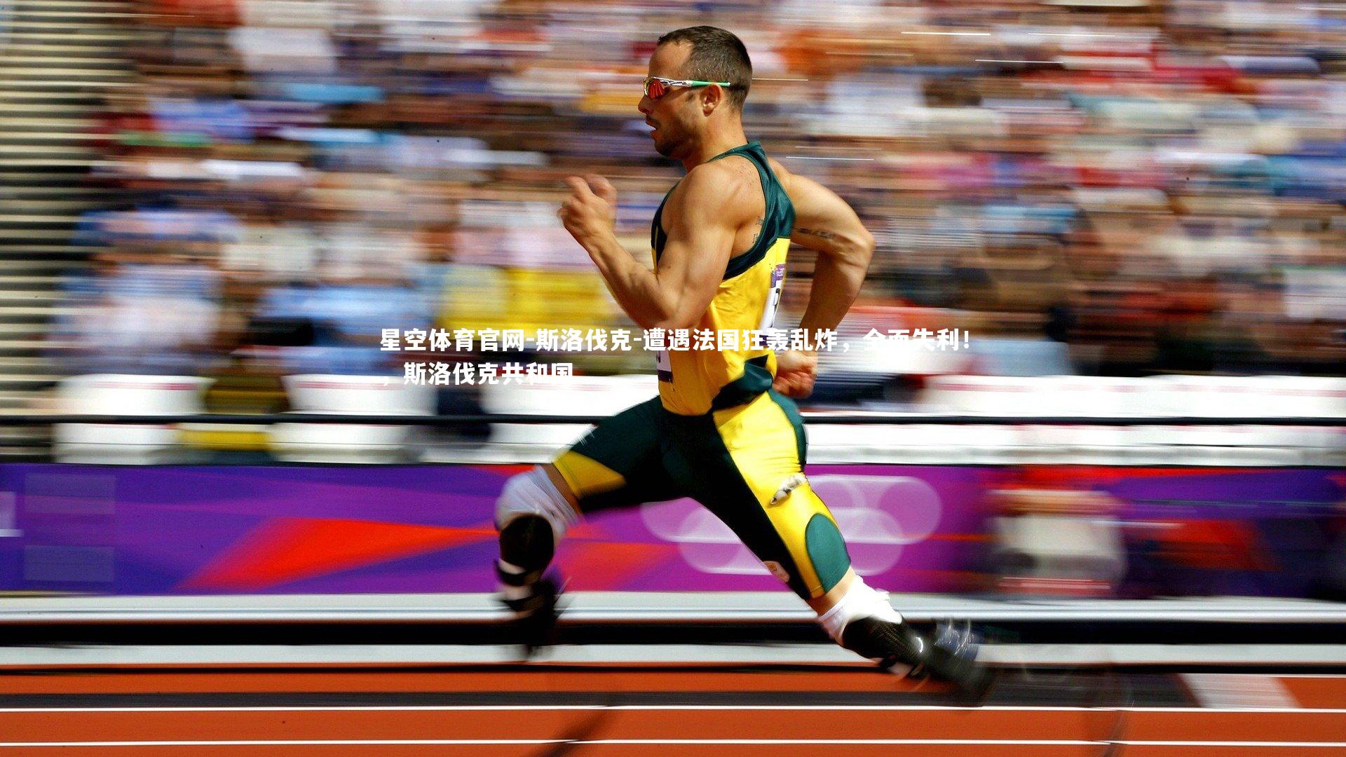 斯洛伐克-遭遇法国狂轰乱炸，全面失利！，斯洛伐克共和国