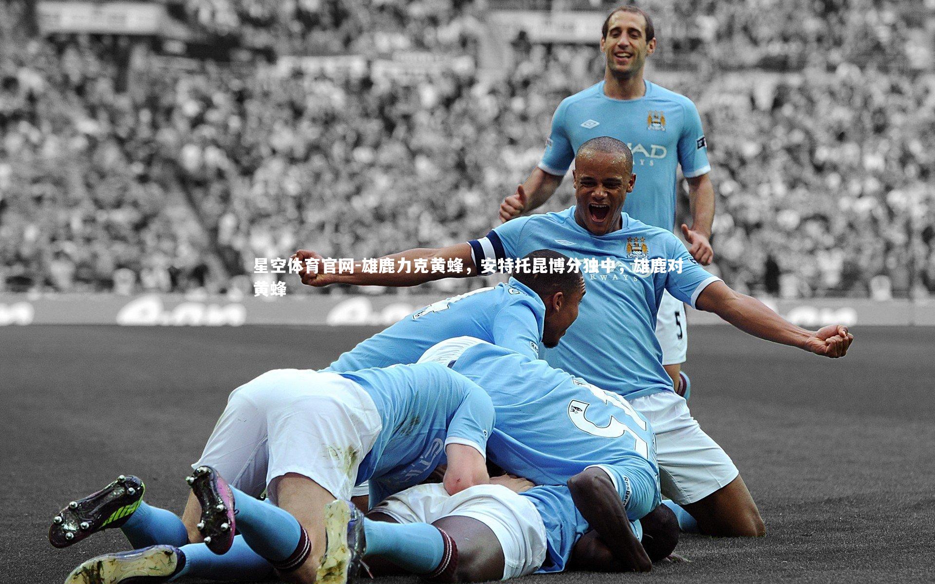 星空体育官网-雄鹿力克黄蜂，安特托昆博分独中，雄鹿对黄蜂