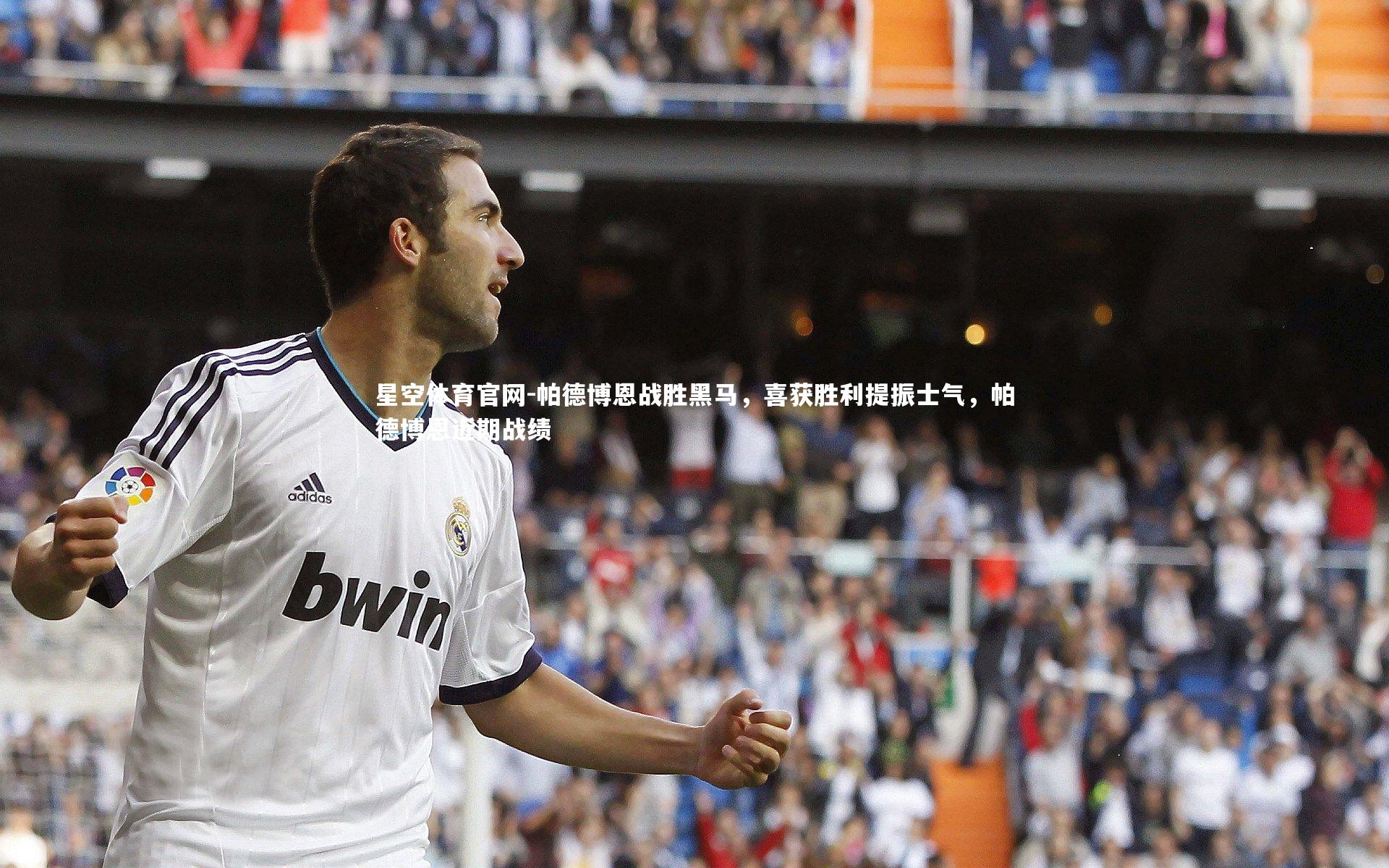 星空体育官网-帕德博恩战胜黑马，喜获胜利提振士气，帕德博恩近期战绩