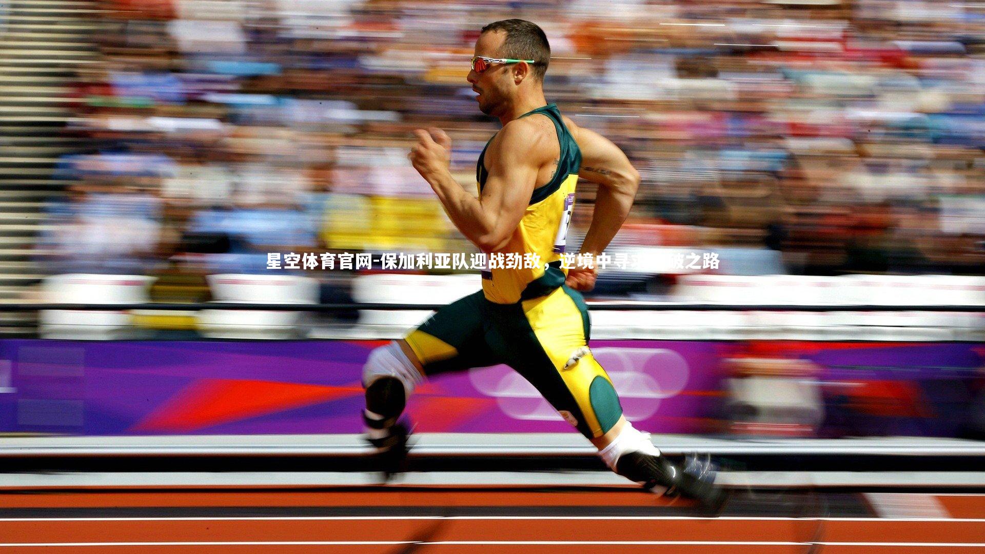 星空体育官网-保加利亚队迎战劲敌，逆境中寻求突破之路